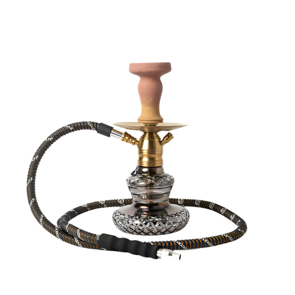 COCOYAYA (11") X4 Series 1 Hose Hookah -Gold- Wee Shisha N Vape