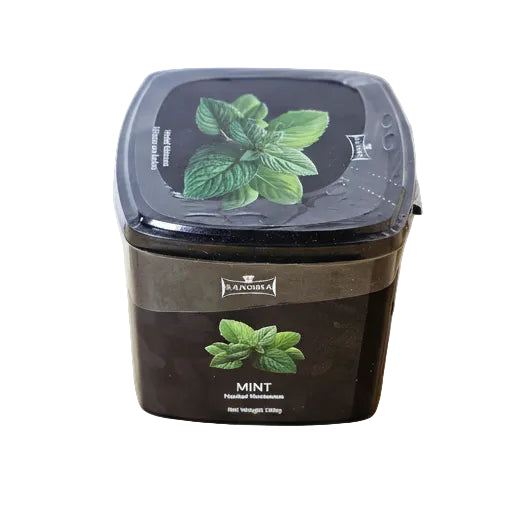 Zanobia Herbal Molasses (250g) - Mint - Wee Shisha N Vape