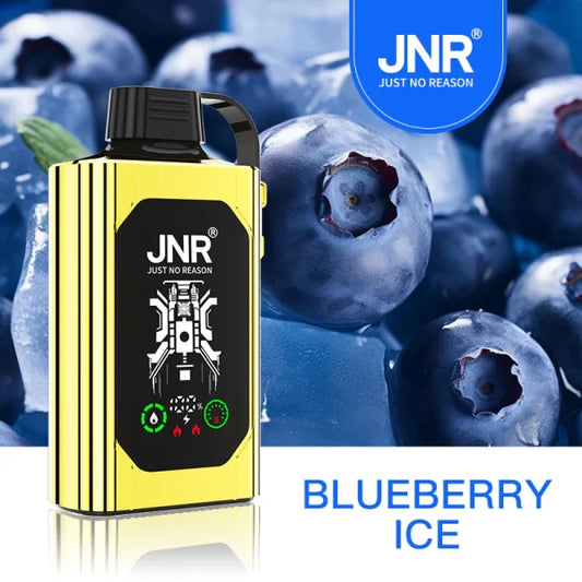 JNR Shisha - Blueberry Ice - Wee Shisha N Vape