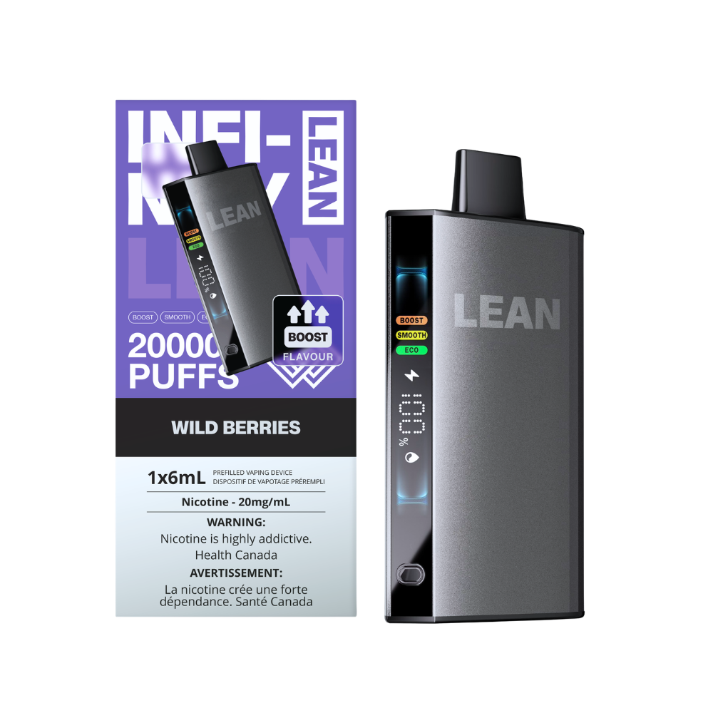 A LEAN Wild Berries disposable vaping device shown next to its retail packaging box. The device is dark gray with a black mouthpiece, featuring LED indicators on the side, and the box is purple and white with product details.